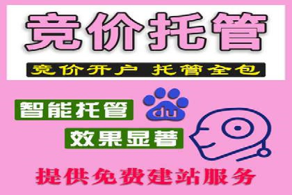 探索SEM代运营的奥秘：从入门到精通